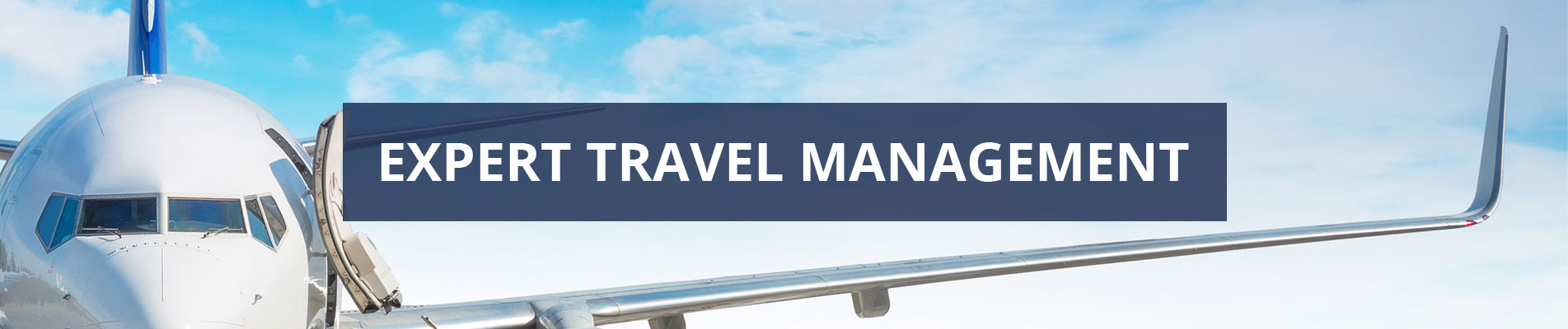 travel management consulting llc