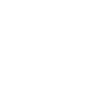 Coins Icon White 2 expense-management-travel