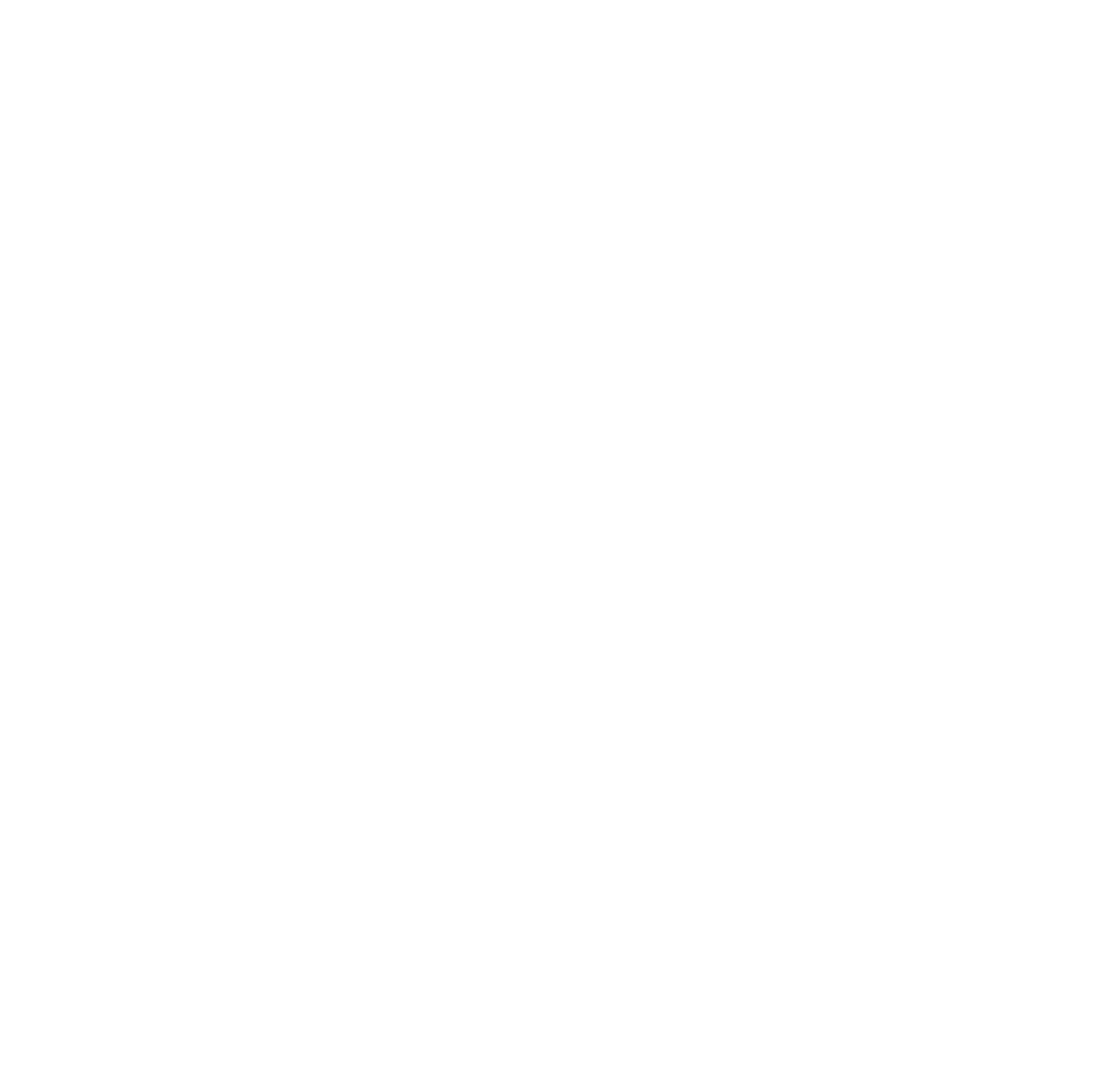 Coins Icon White 2 expense-management-travel
