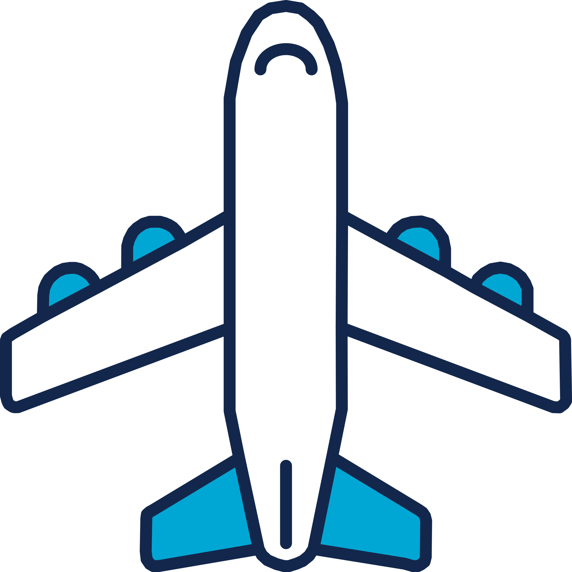 Plane Icon Corporate Air Travel