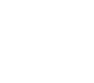 Tick icon White tick-white