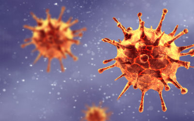 Coronavirus