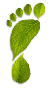 leaf-footprint-L footprint