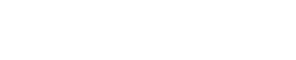 RadiusTravel