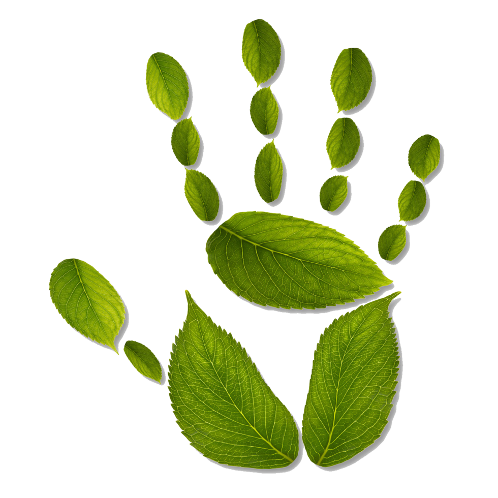 Carbon Handprint Gray Dawes Travel