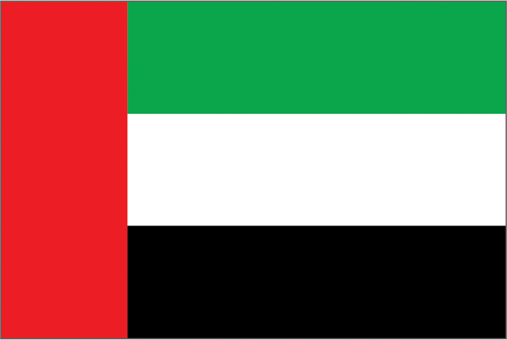 UAE flag
