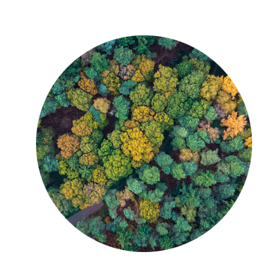 Circular photo of a young male engineer in blue overalls and a white hardhat touching the dials of a piped machine