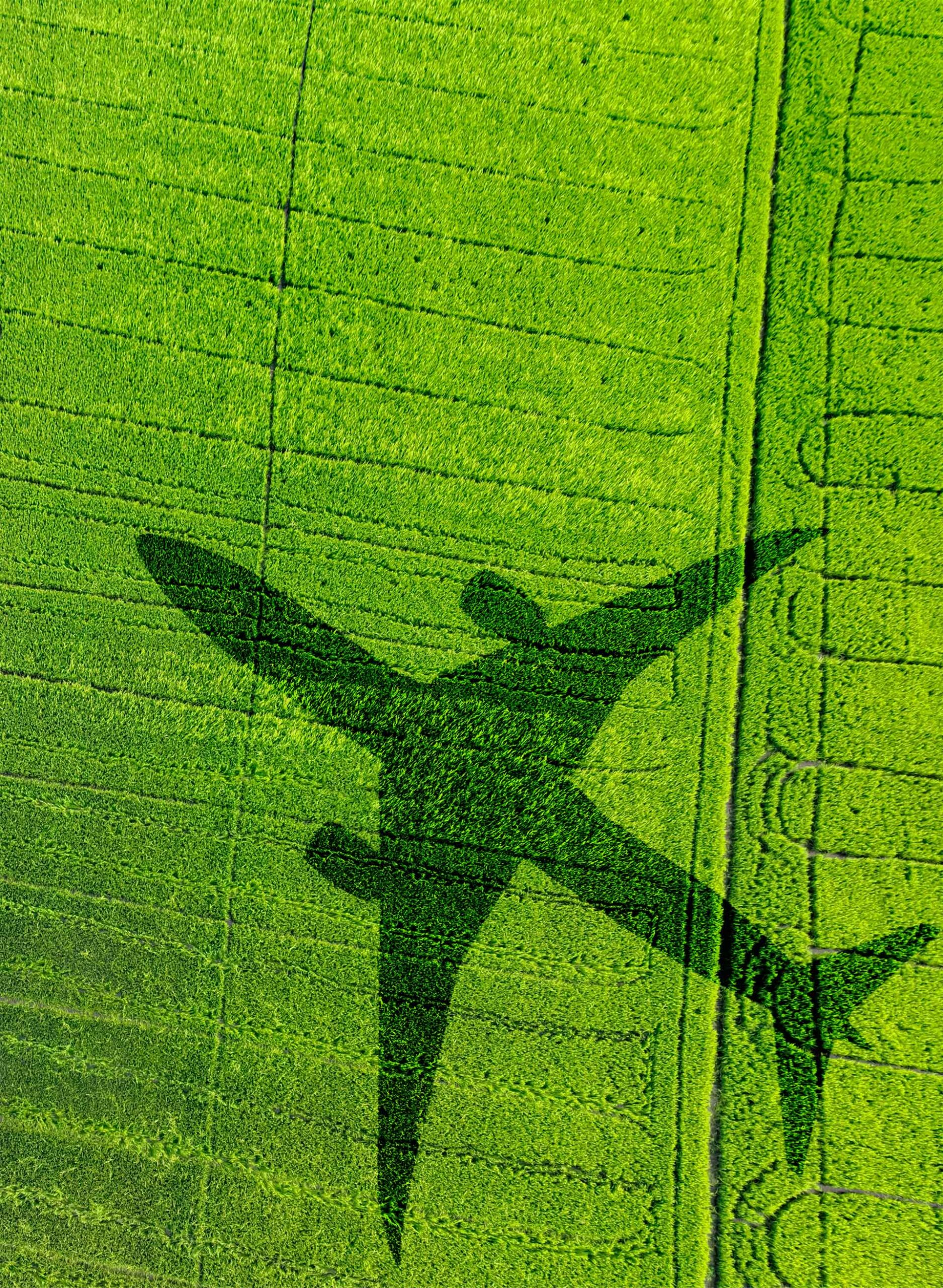 Aerial view of a lush green field with the shadow of a jumbo jet flying overhead