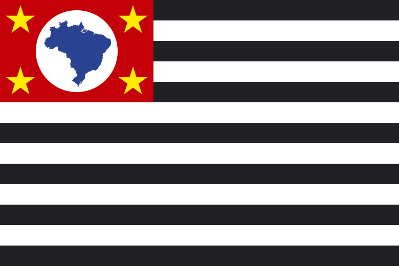 Tokyo Flag