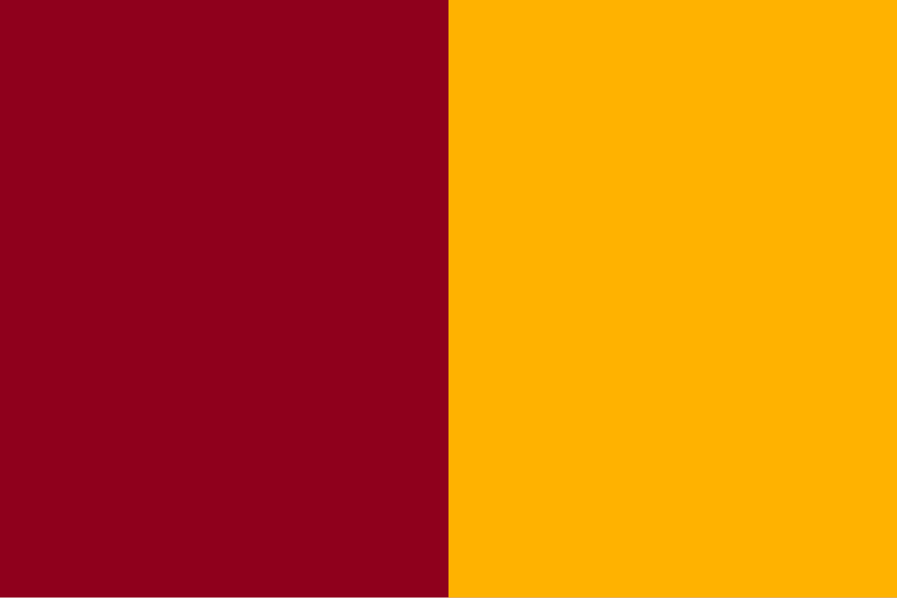 Rome Flag