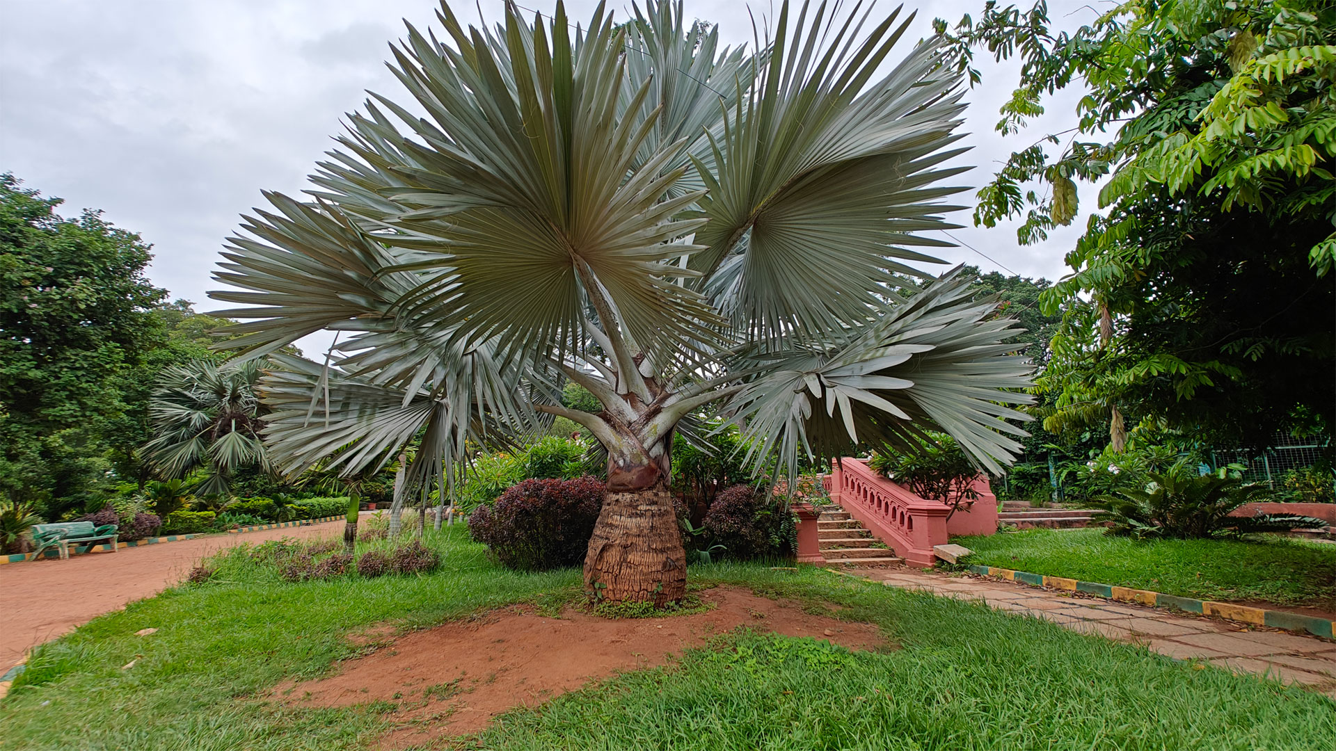 Lalbagh Botanical Garden in Bengaluru